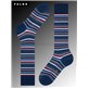 MICROBLOCK Falke Socken für Herren - 6000 royal blue MICROBLOCK Falke Socken für Herren - 6000 royal blue