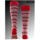 MICROBLOCK Herren-Kniesocken Falke - 8229 rot MICROBLOCK Herren-Kniesocken Falke - 8229 rot
