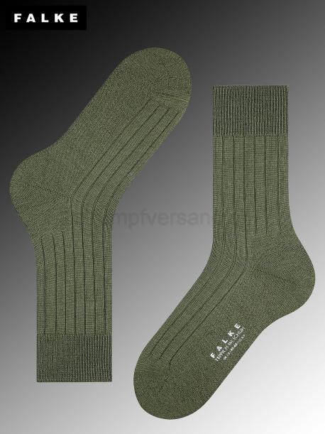 TEPPICH IM SCHUH Falke Herrensocken - 7754 herb